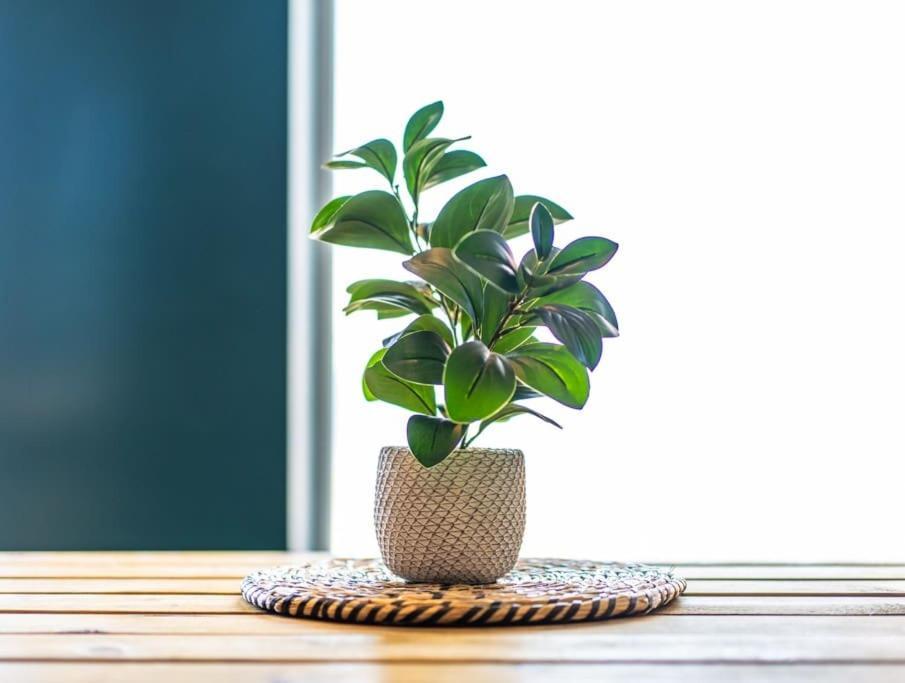 Belgravia Duplex Seaview Apartment ブラックプール エクステリア 写真